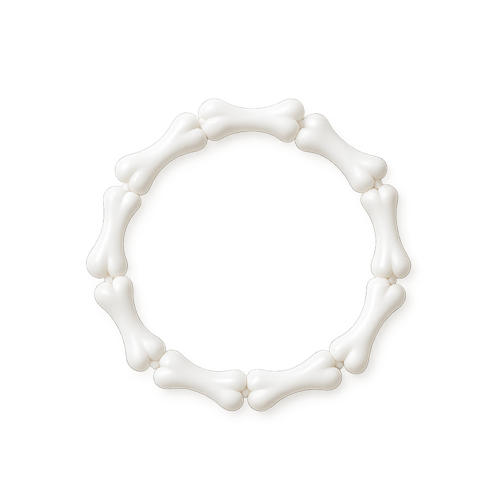 bone bracelet