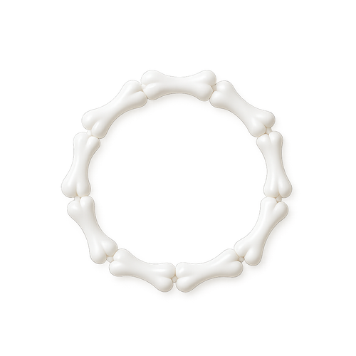 bone bracelet